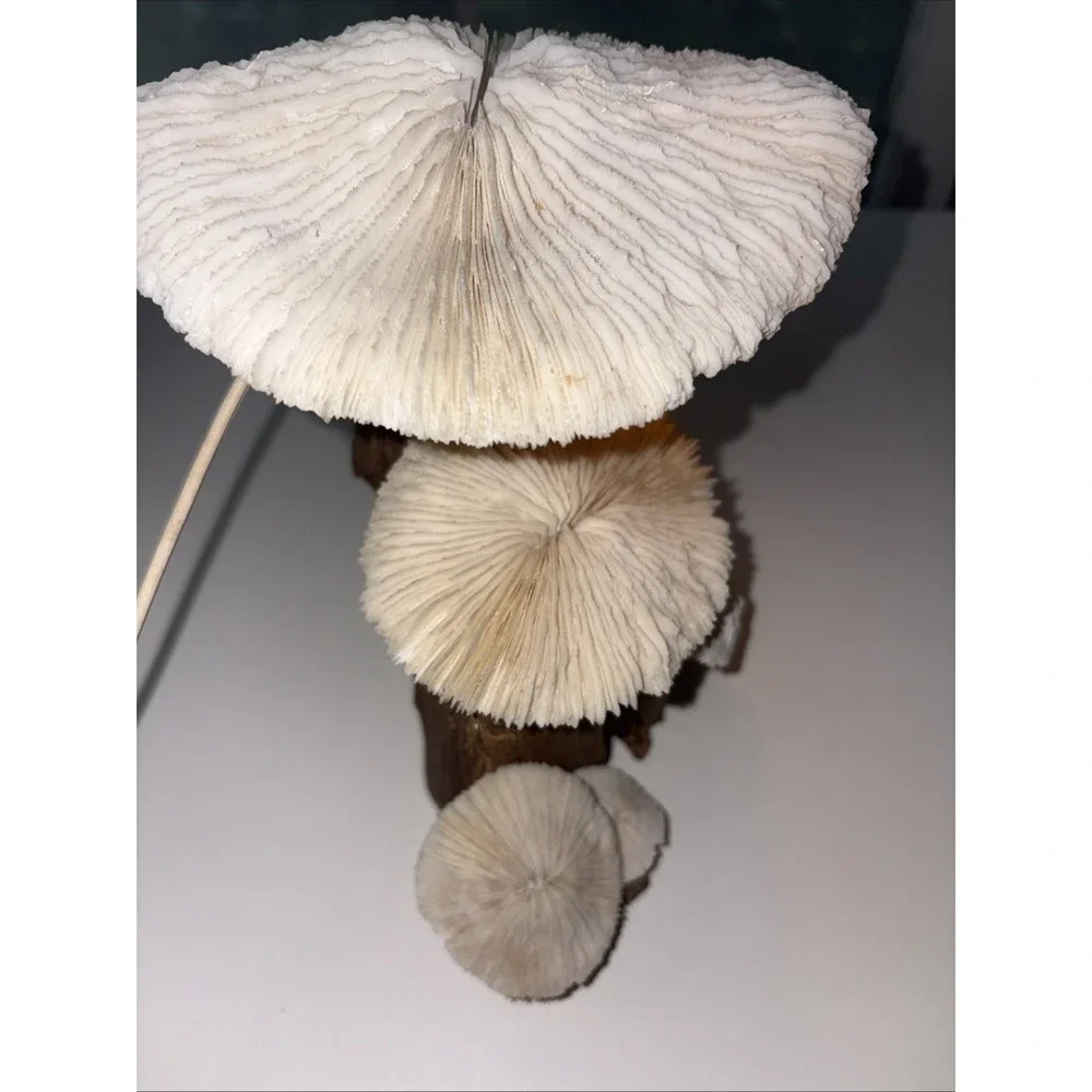 Vintage Coral & Wood Mushroom 1970's Lamp